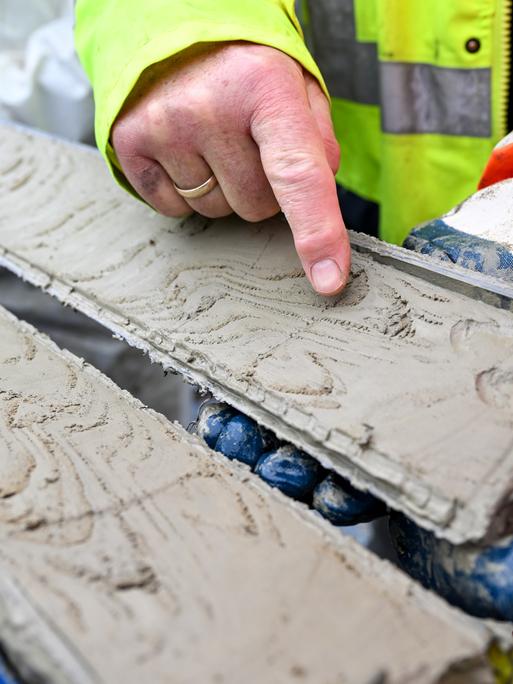 Bodenproben aus zylindrischen Bohrkernen mit Sediment aus dem Seegrund