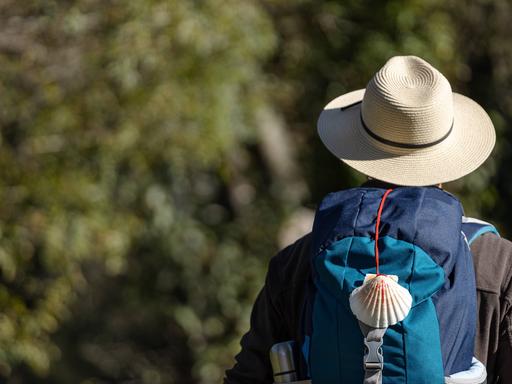 Blick von hinten auf einen Jakobsweg-Wanderer, den das dafür typische Muschelzeichen auf dem Rucksack trägt.