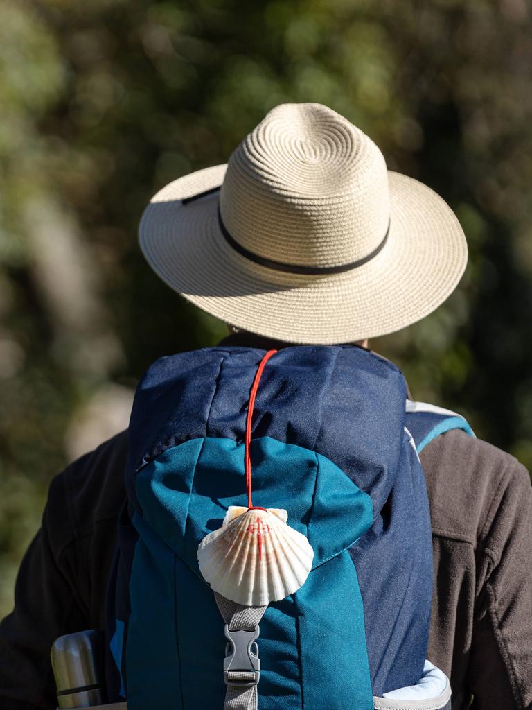 Blick von hinten auf einen Jakobsweg-Wanderer, den das dafür typische Muschelzeichen auf dem Rucksack trägt.
