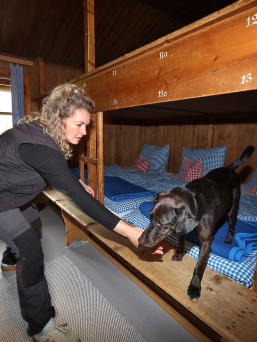 Bettwanzen-Spürhund Linus schnüffelt im Beisein seiner Hundeführerin Laura Pannasch in einem Schlafraum des 1670 Meter hoch gelegenen Schneibsteinhauses in den Alpen nach Bettwanzen.