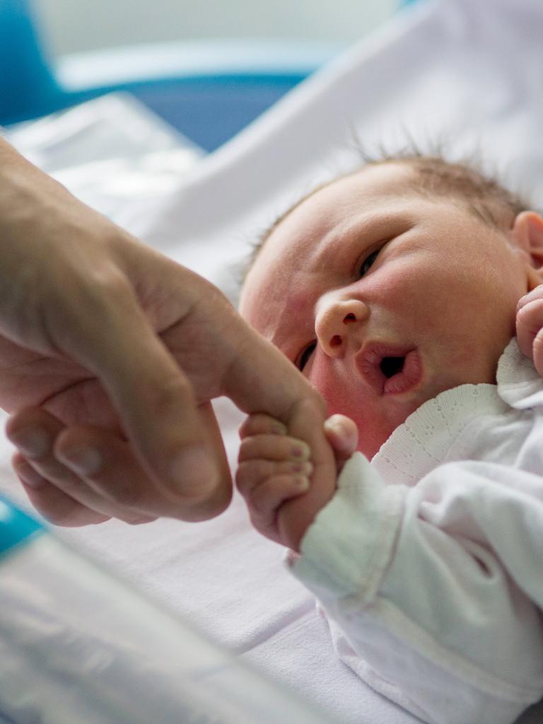 Ein neugeborenes Baby das in einer kleinen Krankenhaus-Krippe liegt, hält den Finger eines Erwachsenen.