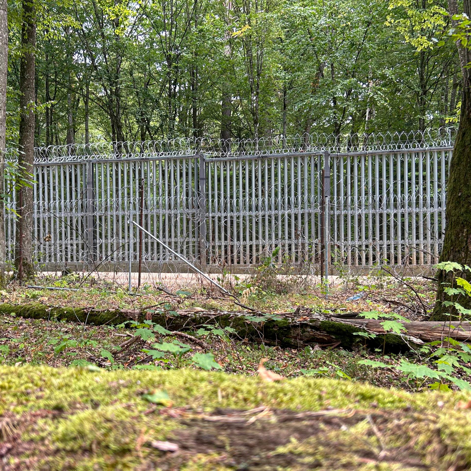 Flucht über Belarus - Die 16-jährige Sainab allein im Grenzwald