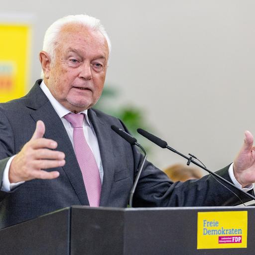 Wolfgang Kubicki spricht nach seiner Wahl zu den Delegierten in Neumünster. Er hat einen grauen Anzug an ud eine rosa Krawatte.