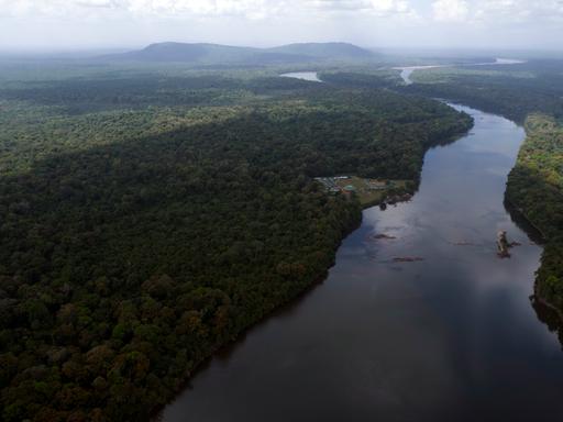 Blick auf den Fluss Essequibo und ein weitläufiges Waldgebiet in Guyana am 19.11.2023. (AP Photo/Juan Pablo Arraez, File)