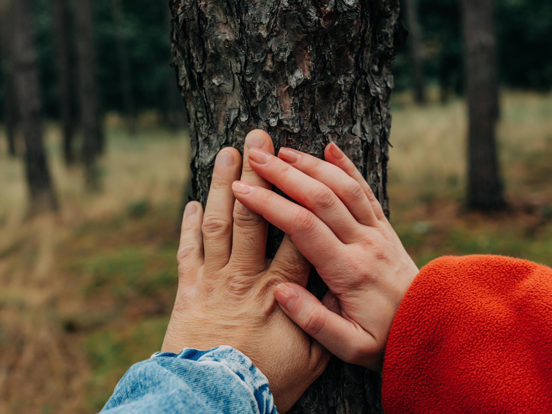 Zwei Hände liegen übereinander, berühren gemeinsam einen Baumstamm.