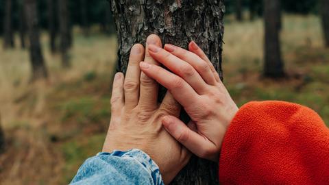 Zwei Hände liegen übereinander, berühren gemeinsam einen Baumstamm.