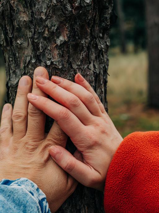 Zwei Hände liegen übereinander, berühren gemeinsam einen Baumstamm.