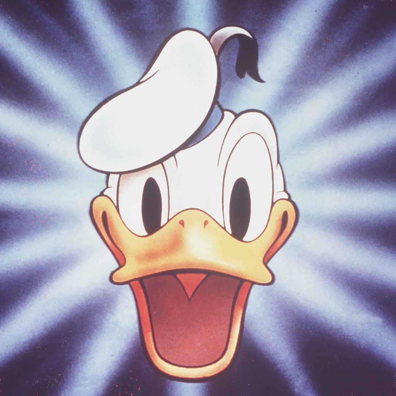Großaufnahme von Donald Duck, der fröhlich lacht.