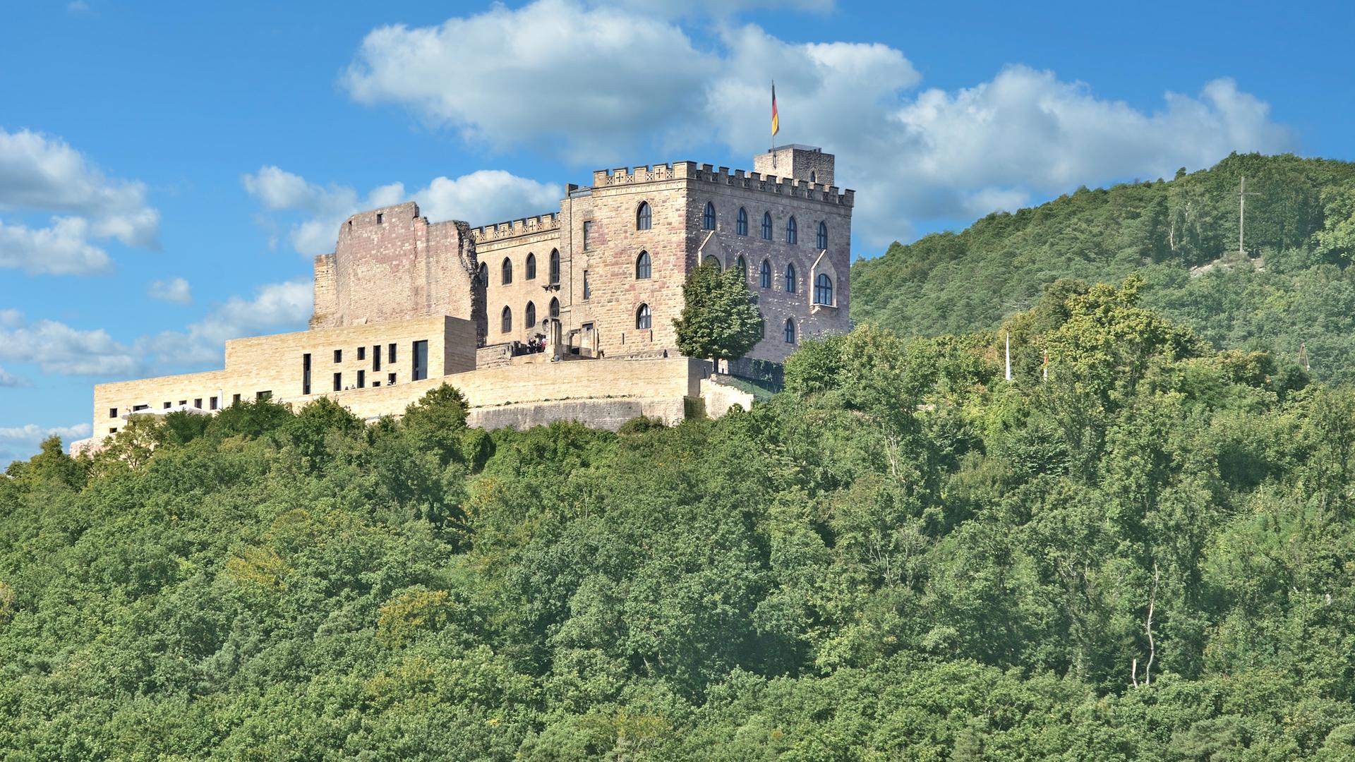 Ein Schloss, das auf einem Hügel mitten im Wald steht, ist auf dem Foto zu sehen. 