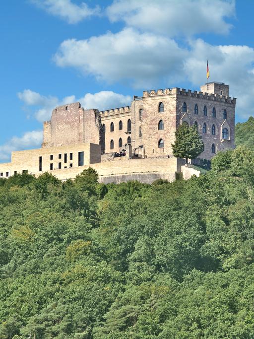 Ein Schloss, das auf einem Hügel mitten im Wald steht 