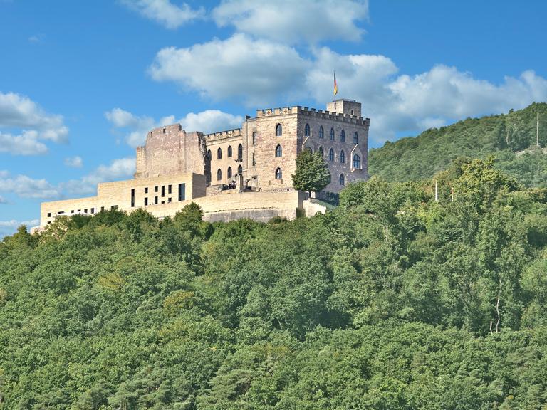 Ein Schloss, das auf einem Hügel mitten im Wald steht 