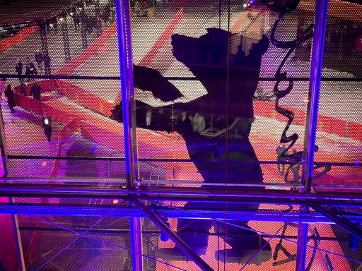 In einem großen Fenster ist das Logo der Berlinale: ein Berliner Bär. Es ist der Blick in ein Kino des Festivals.