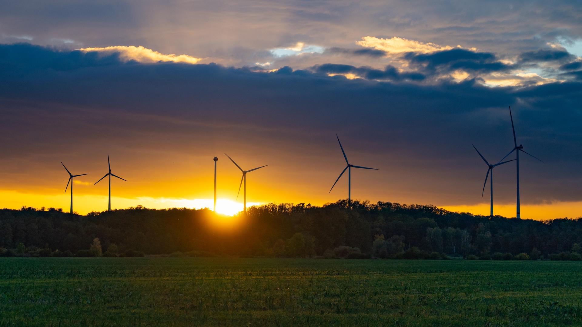Mehrere Windkraftanlagen stehen bei Sonnenuntergang auf einer bewaldeten Anhöhe hinter einem grünen Feld. Mehrere Windkraftanlagen stehen bei Sonnenuntergang auf einer bewaldeten Anhöhe hinter einem grünen Feld.
