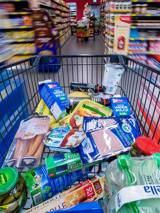 Ein Einkaufswagen mit Lebensmitteln wird am 30.11.2017 in Schwerin (Mecklenburg-Vorpommern) durch die Regalreihen in einem Supermarkt geschoben. Es gibt einen zentralen Fluchtpunkt, die Regale links und rechts sind unscharf, wie bei hoher Geschwindigkeit.