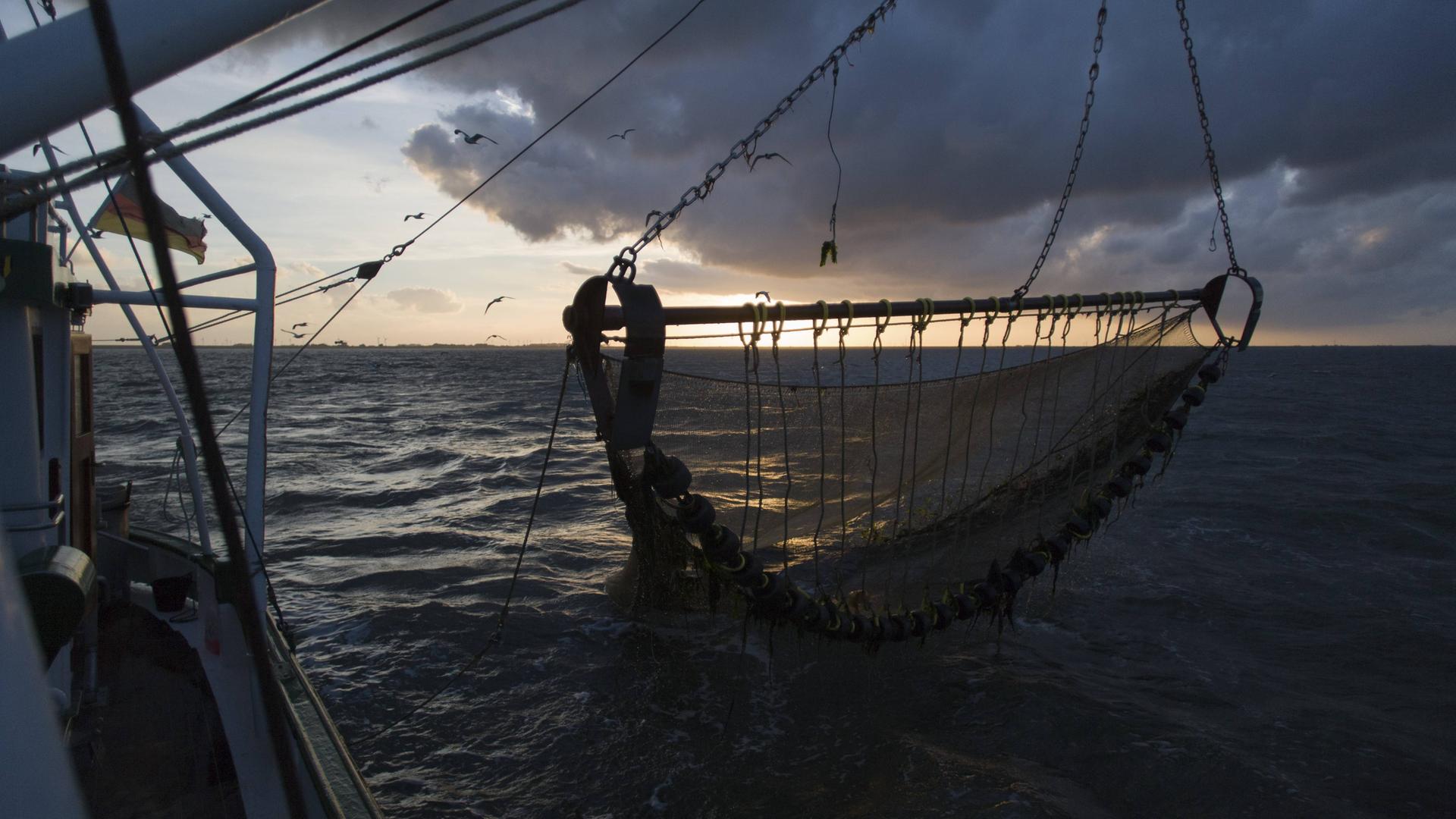 Fischernetz bei Fangfahrt eines Krabbenkutters vor Büsum, Nordsee.