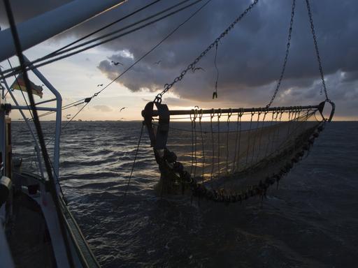 Fischernetz bei Fangfahrt eines Krabbenkutters vor Büsum, Nordsee.