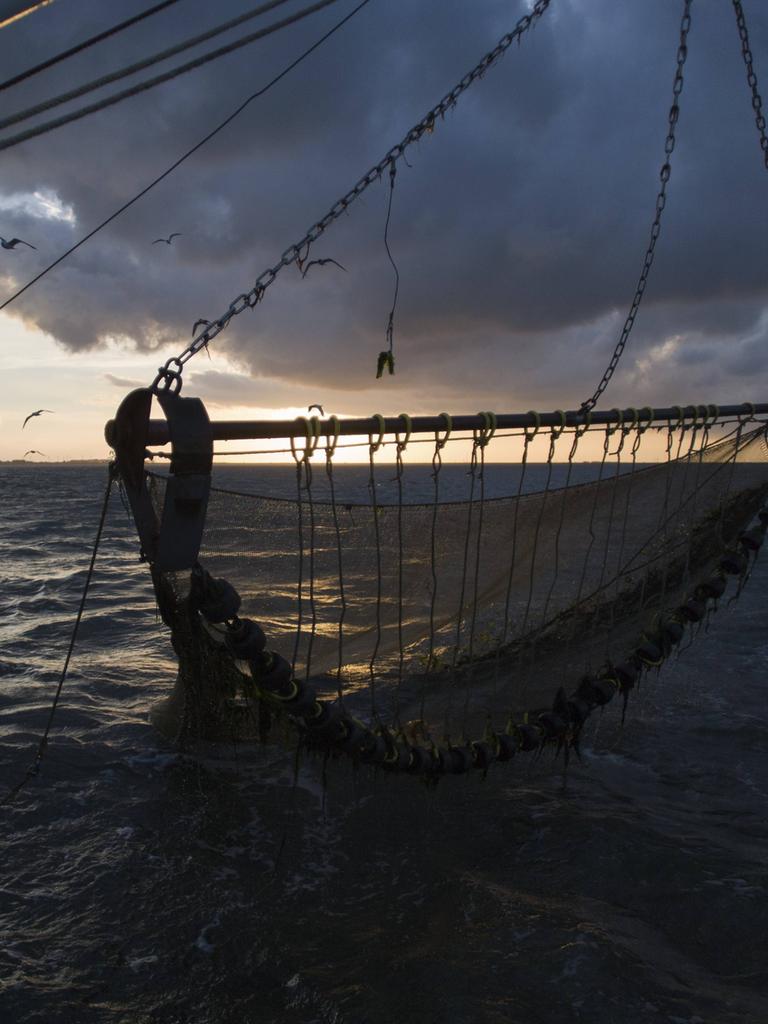 Fischernetz bei Fangfahrt eines Krabbenkutters vor Büsum, Nordsee.