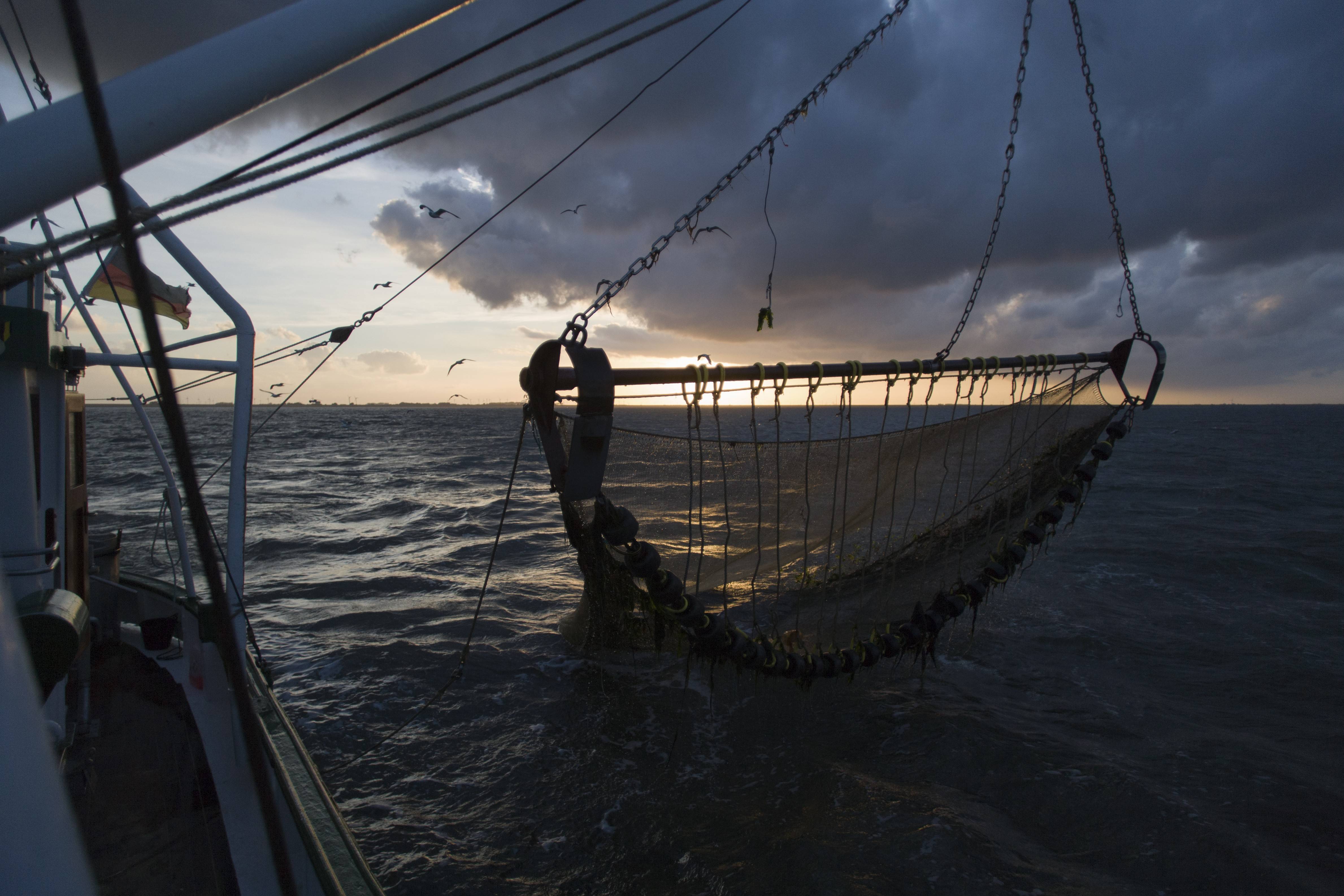 Fischernetz bei Fangfahrt eines Krabbenkutters vor Büsum, Nordsee.