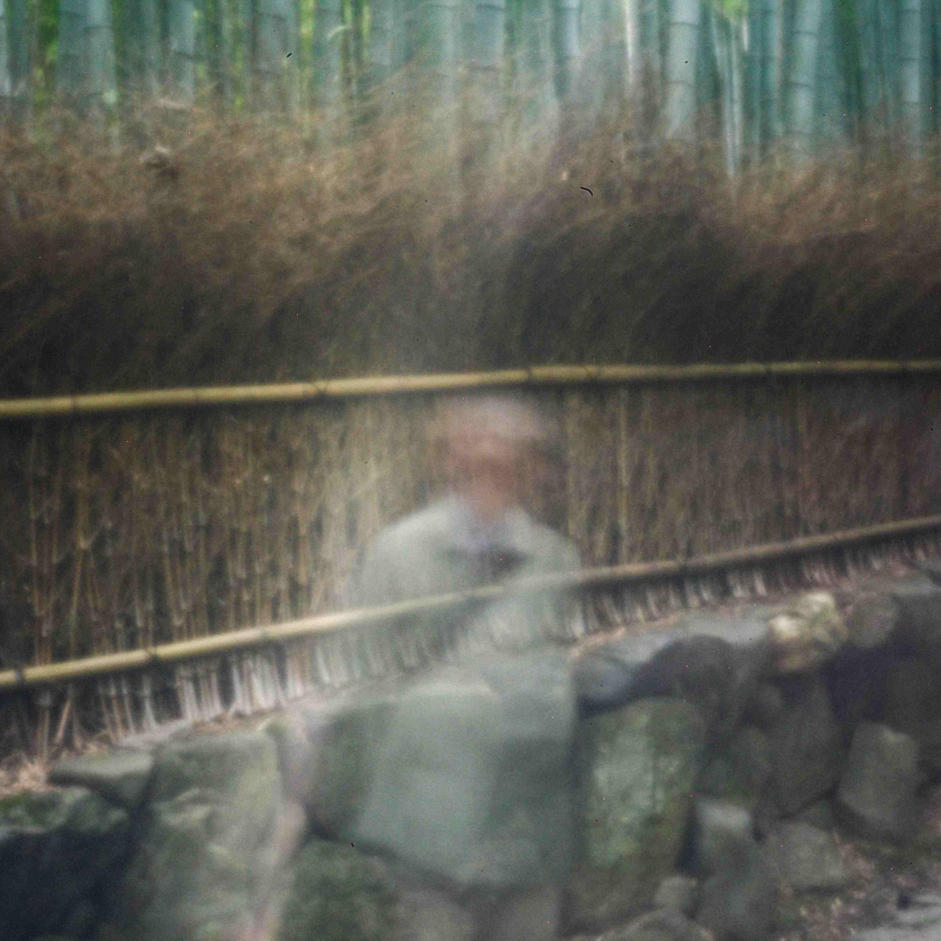 Jōhatsu in Japan – Wenn Menschen verdunsten - Spurlos verschwundene Menschen in Japan