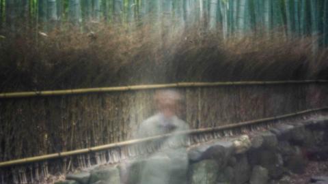 Fotografie mit Pinhole-Technik: Ein verschwommener, verschwindender Mensch auf einem Weg vor Bambusbäumen in Japan. Fotografie mit Pinhole-Technik: Ein verschwommener, verschwindender Mensch auf einem Weg vor Bambusbäumen in Japan.