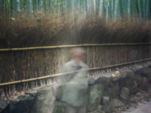 Fotografie mit Pinhole-Technik: Ein verschwommener, verschwindender Mensch auf einem Weg vor Bambusbäumen in Japan.