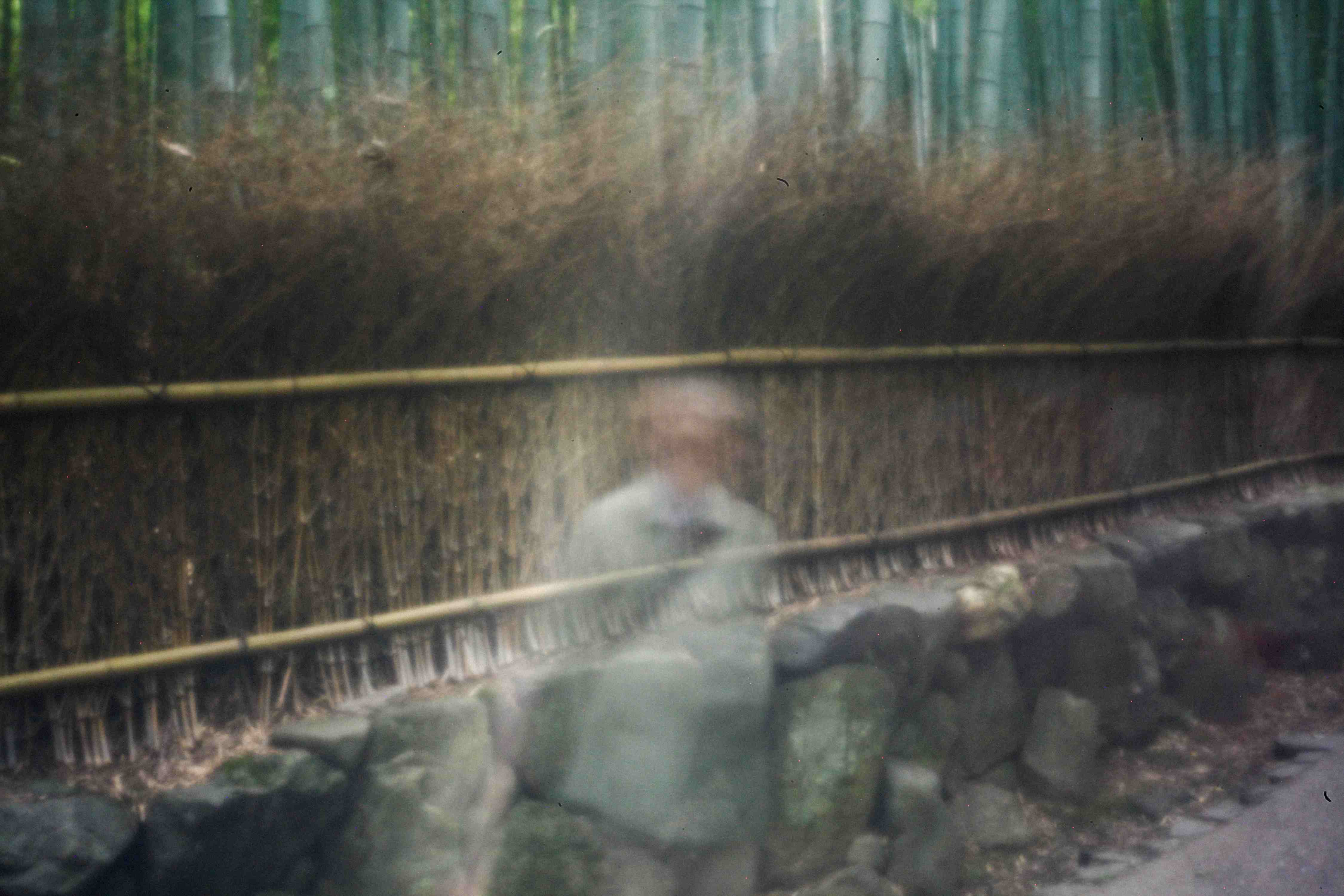 Fotografie mit Pinhole-Technik: Ein verschwommener, verschwindender Mensch auf einem Weg vor Bambusbäumen in Japan.