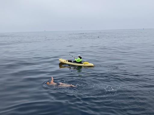 Extremschwimmerin Anke Höhne bei der Durchquerung des Catalina Channels in Kalifornien 2023. 