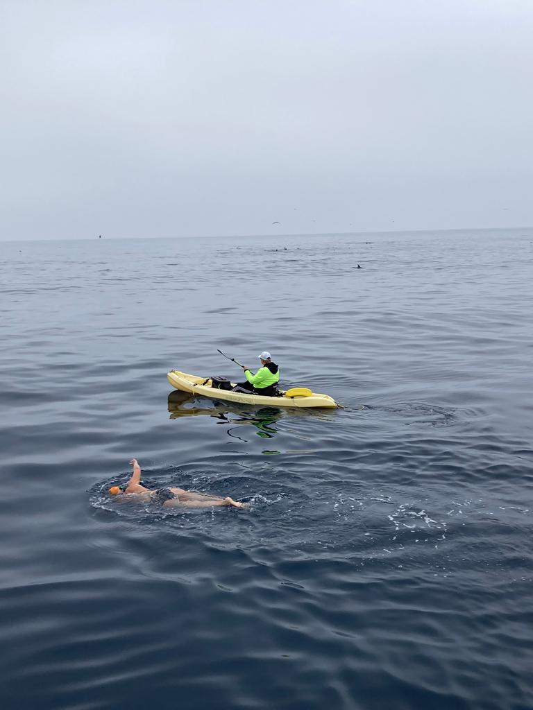 Extremschwimmerin Anke Höhne bei der Durchquerung des Catalina Channels in Kalifornien 2023. 
