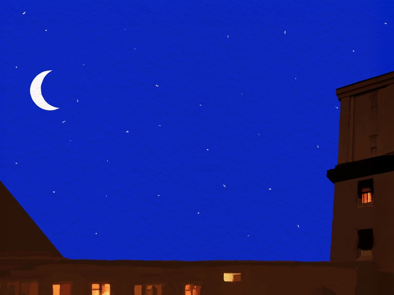Das Logo zum Podcast "Lange Nacht" zeigt eine Häuserzeile bei Nacht, in einigen Fenstern brennt Licht. Am Nachthimmel steht eine Mondsichel. 