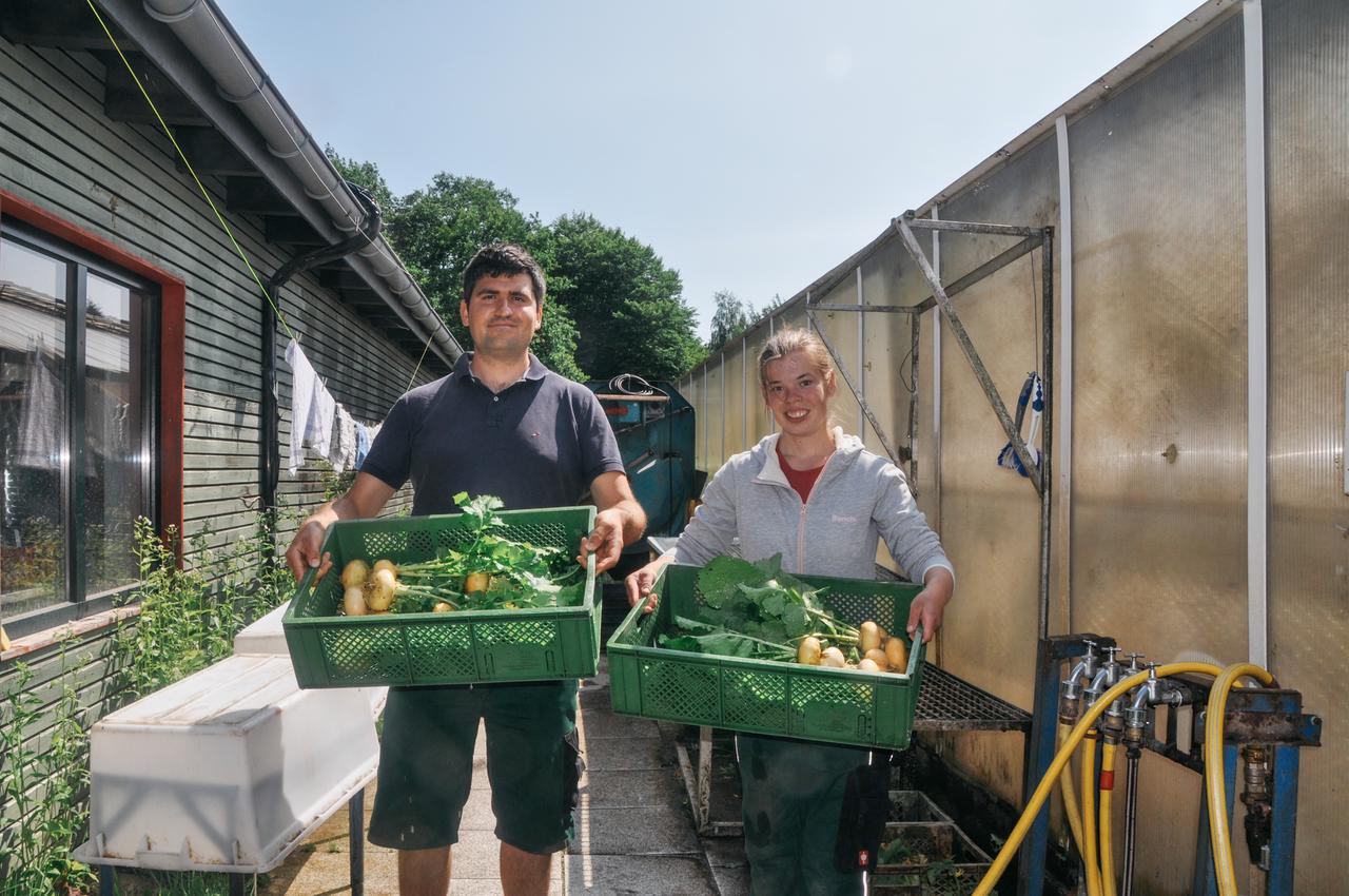 Ein Mann und eine Frau mit Gemüsekisten auf dem Arm in einer Gärtnerei lächeln in die Kamera.