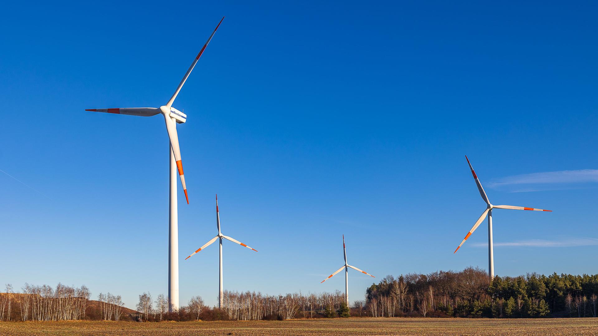 Windräder in einer offenen Landschaft vor blauem Himmel