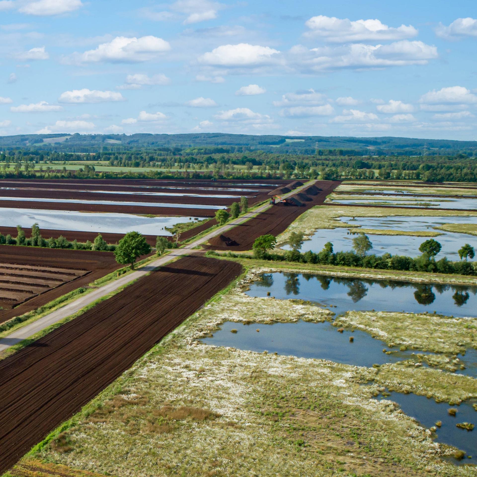 Luftaufnahme eines weiten Torffeldes mit Wasserflächen