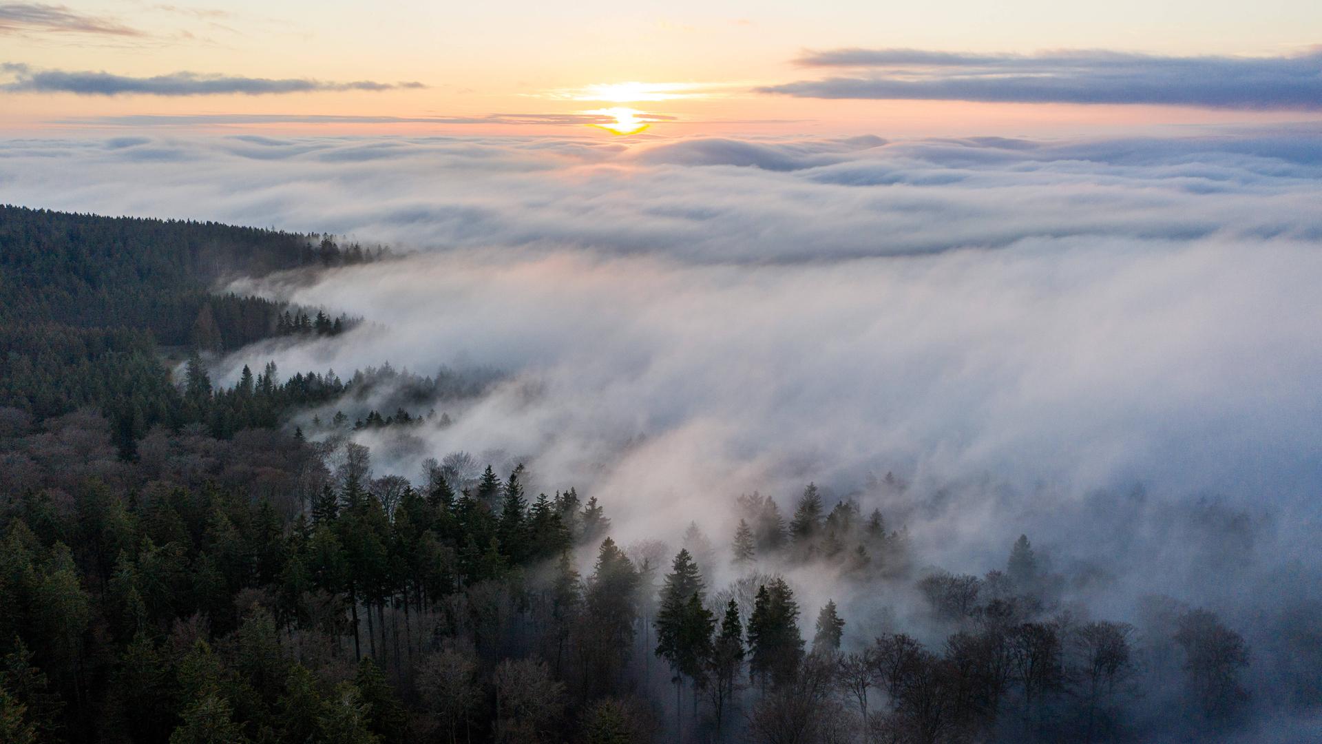 Die Höhenlagen des Taunus ragen aus einer Decke aus Hochnebel.