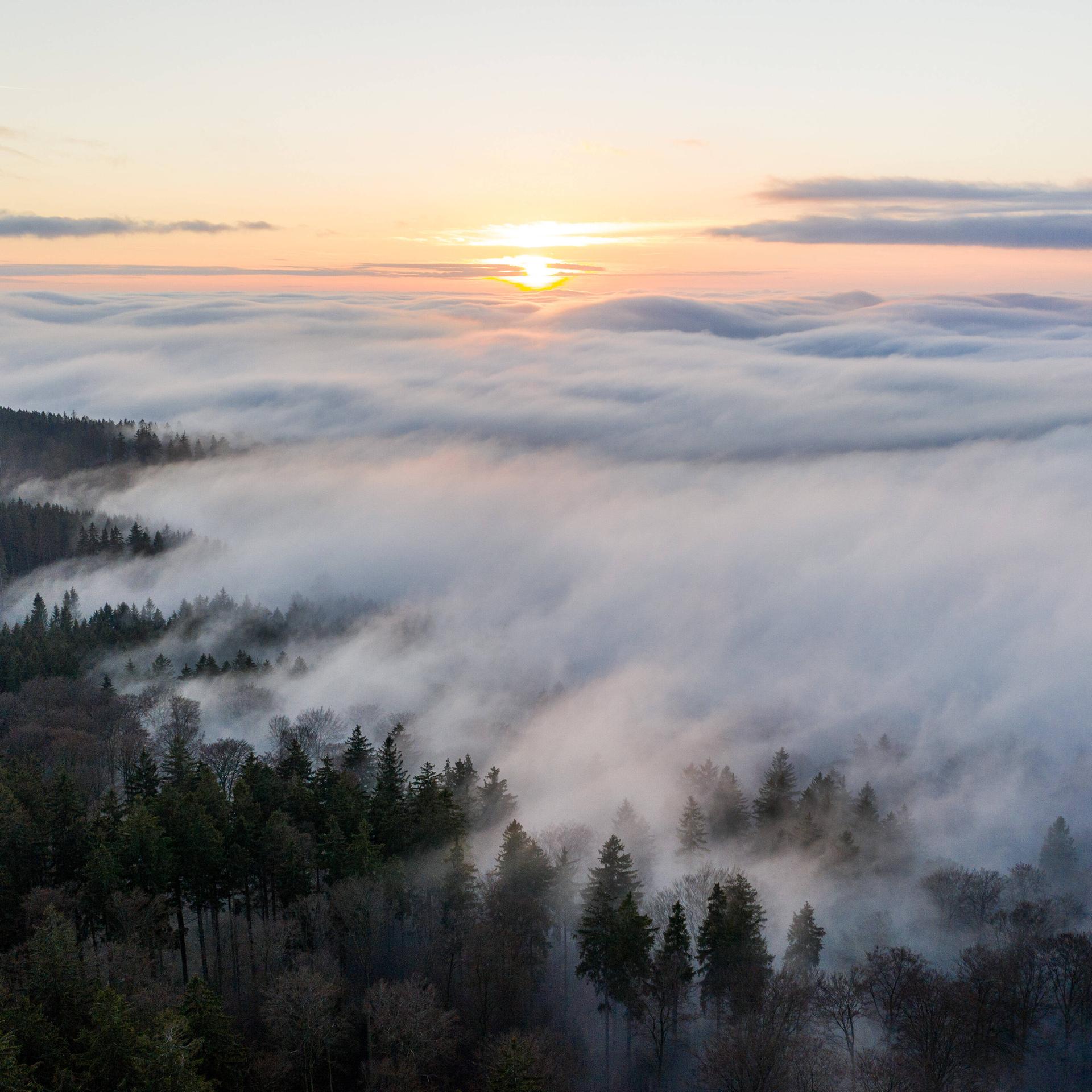 Geist der Zeit - Zum gegenwärtigen Streit zwischen Aufklärung und Romantik