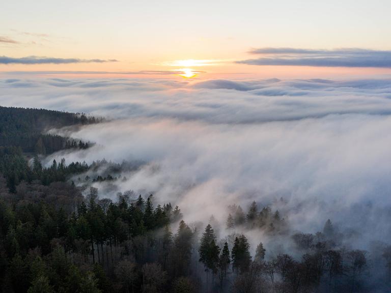 Die Höhenlagen des Taunus ragen aus einer Decke aus Hochnebel.