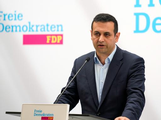 Bijan Djir-Sarai, Generalsekretär der FDP