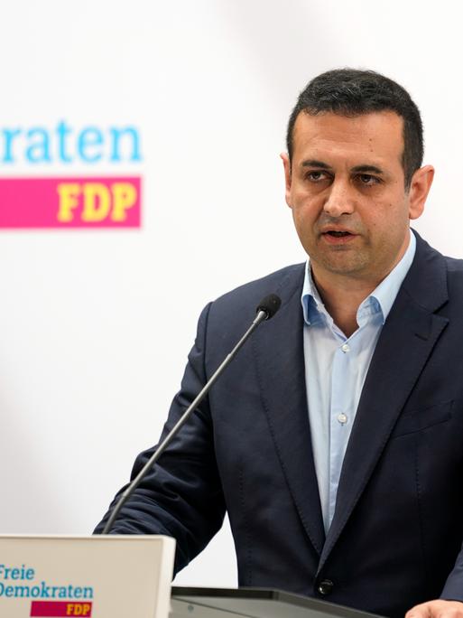 Bijan Djir-Sarai, Generalsekretär der FDP