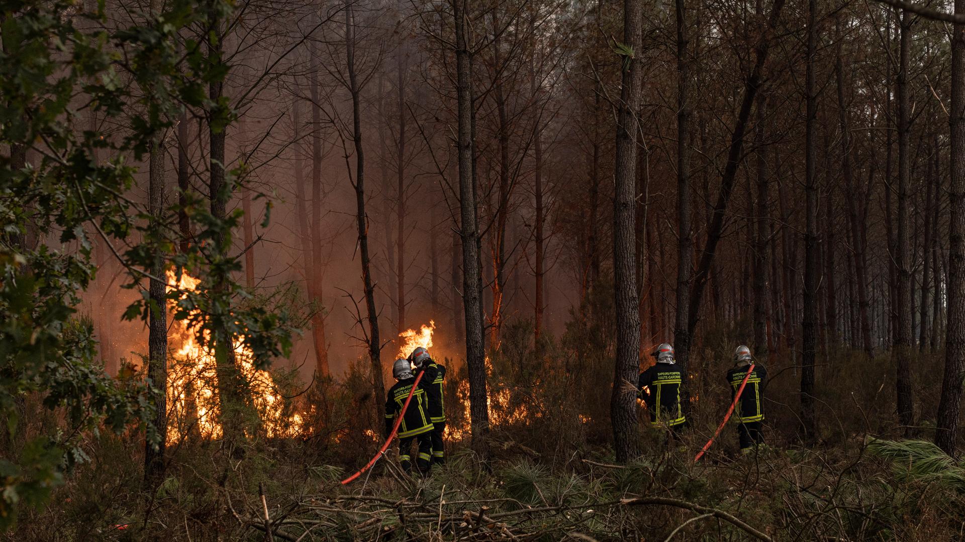 Feuerwehrleute im Einsatz in L'Ombrière (Saint-Jean-d'Illac, Gironde, Nouvelle-Aquitaine, Frankreich) in einem Waldgebiet. Feuerwehrleute im Einsatz in L'Ombrière (Saint-Jean-d'Illac, Gironde, Nouvelle-Aquitaine, Frankreich) in einem Waldgebiet.