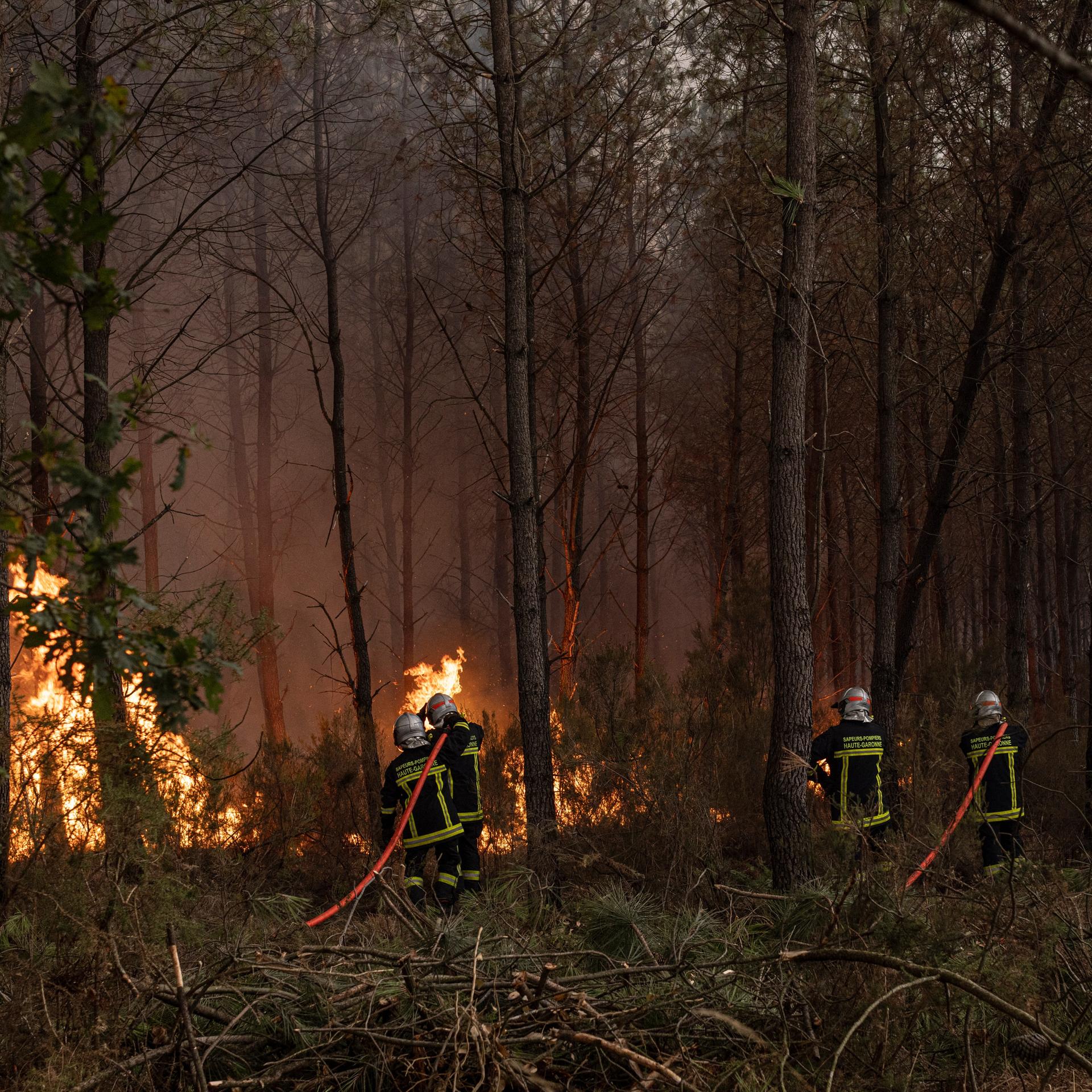 Feuerwehrleute im Einsatz in L'Ombrière (Saint-Jean-d'Illac, Gironde, Nouvelle-Aquitaine, Frankreich) in einem Waldgebiet. 