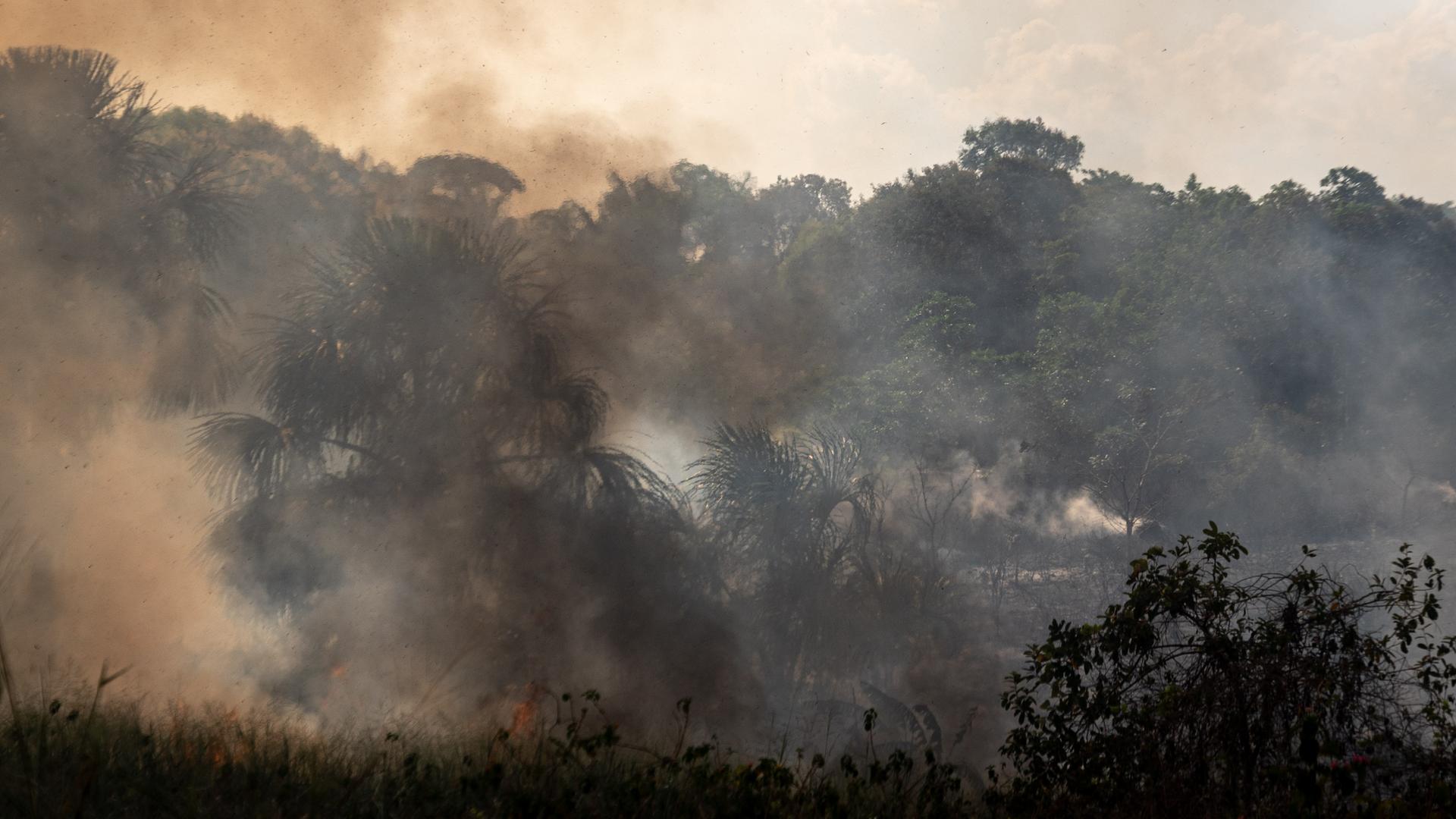 Ein Mischgebiet aus Feldern und Amazonas-Regenwald in Brasilien brennt unkontrolliert im Oktober 2023.