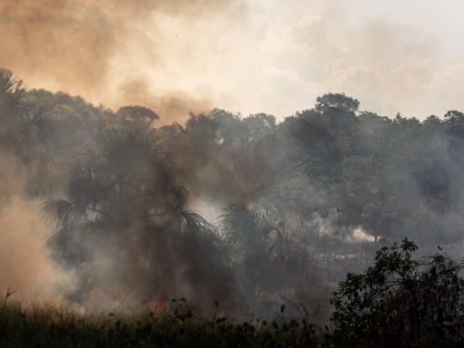 Ein Mischgebiet aus Feldern und Amazonas-Regenwald in Brasilien brennt unkontrolliert im Oktober 2023.