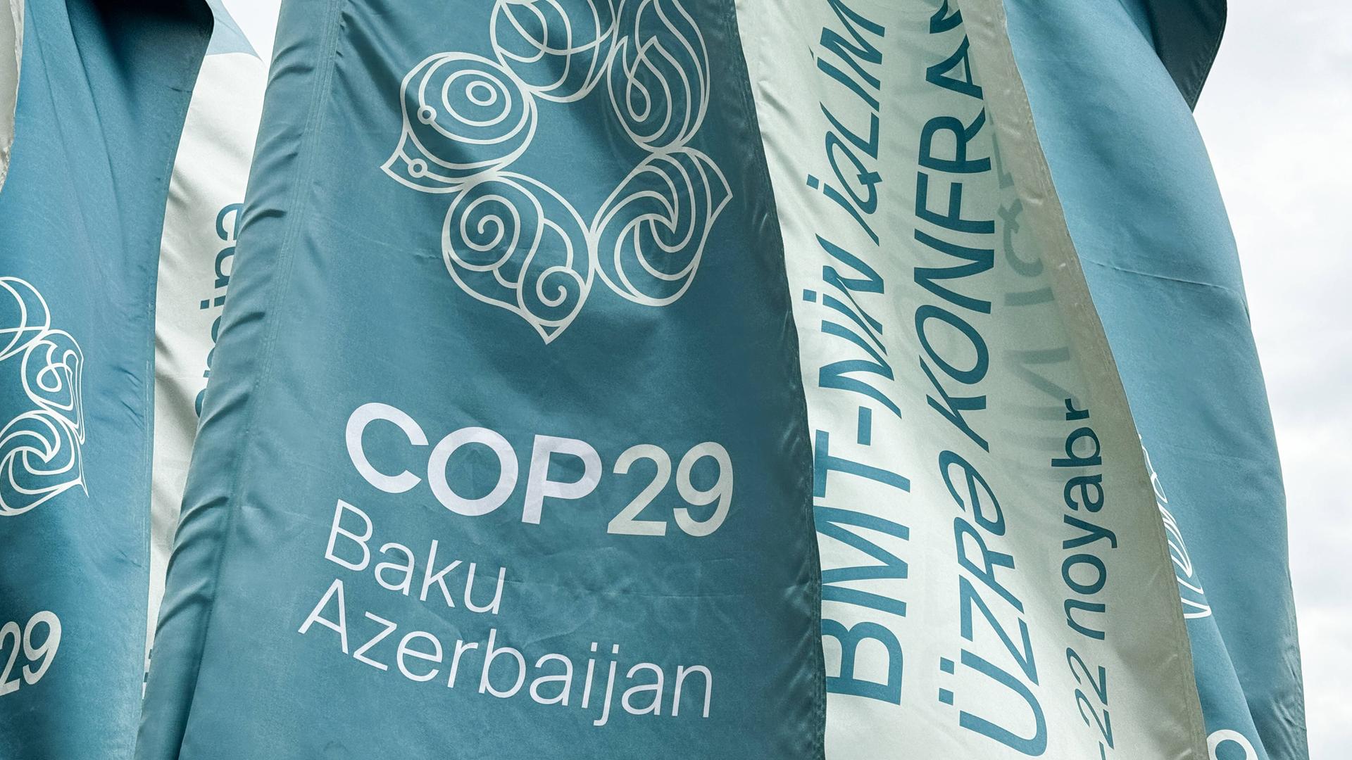 COP29 In Baku - Argentinien Zieht Delegation Von Weltklimakonferenz Ab