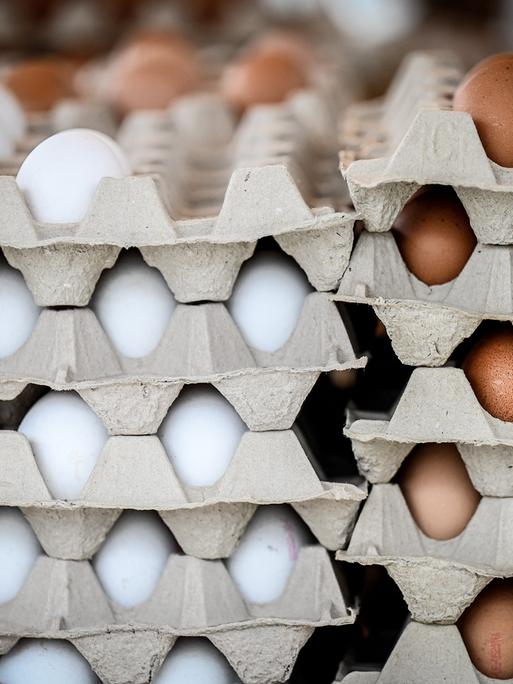 Mehrere Eierkartons mit weißen und braunen Eiernd sind übereinander gestapelt.
