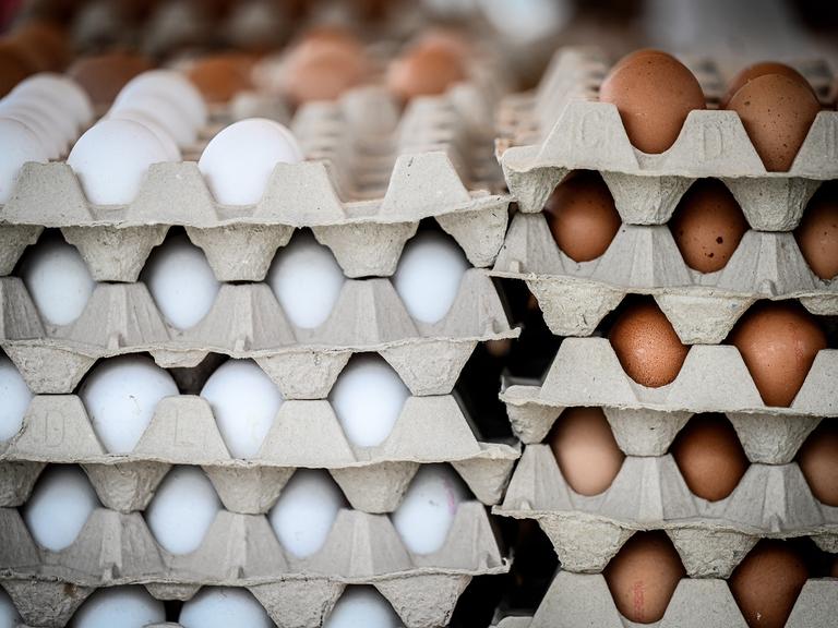 Mehrere Eierkartons mit weißen und braunen Eiernd sind übereinander gestapelt.
