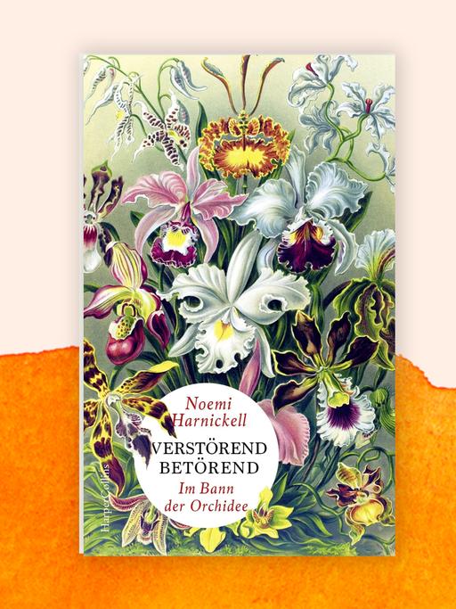 Noemi Harnickells Buch "Verstörend Betörend": Das Cover zeigt den Namen der Autorin und den Buchtitel vor dem Hintergrund einer künstlerisch-opulent gestalteten Orchideensammlung.