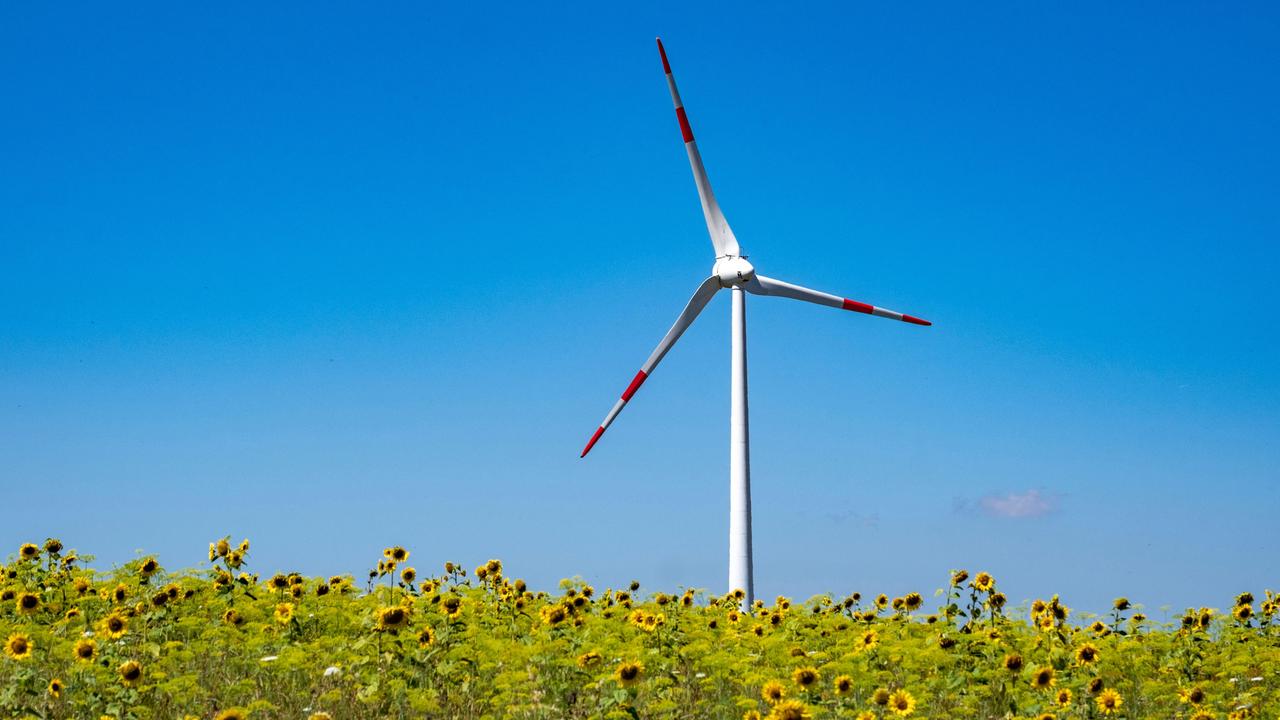 Windrad hinter einem Sonnenblumenfeld in der Nähe von Bad Mergentheim in Deutschland.