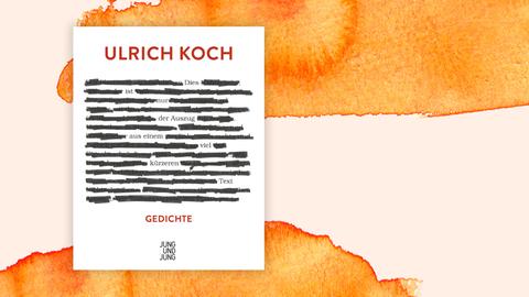 Buchcover des Gedichtbands "Dies ist nur ein Auszug aus einem viel kürzeren Text" von Ulrich Koch.