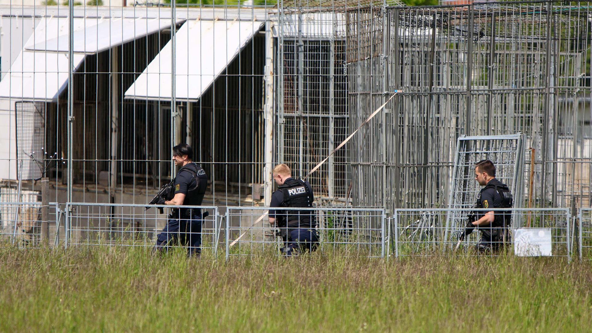 Schwer bewaffnete Polizisten sind in einem Gewerbegebiet an einer Käfig-Anlage für Raubkatzen im Einsatz.