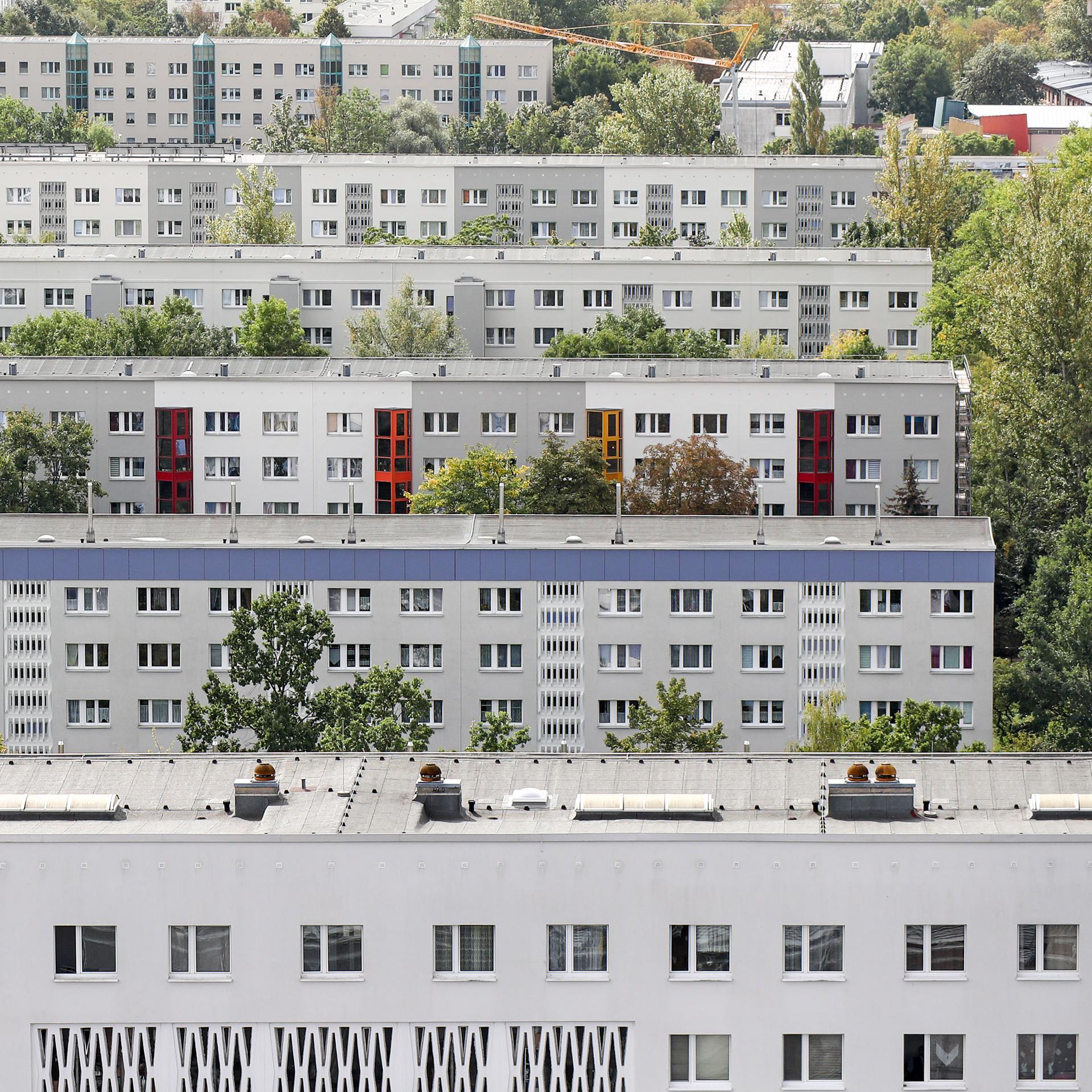 Halle-Neustadt - Ein Plattenbauviertel kämpft gegen den schlechten Ruf episode artwork