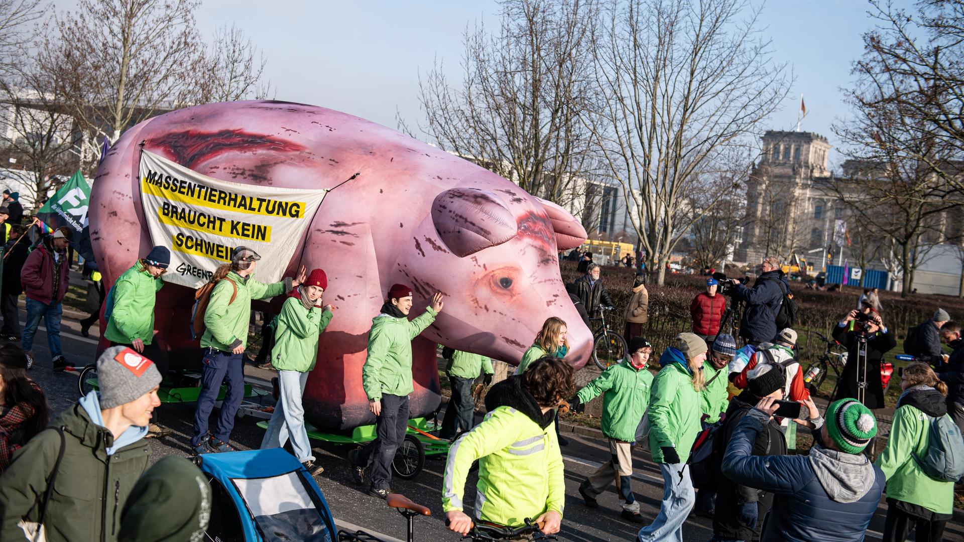 Ein großes aufgeblasenes Schwein auf der Bauern-Demonstration in Berlin. Auf dem Schwein steht "Massentierhaltung braucht kein Schwein".